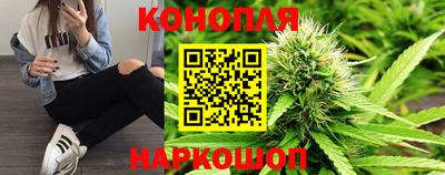 дмт Обь
