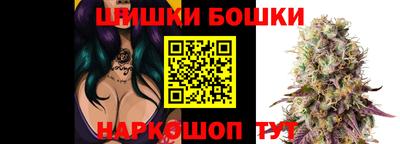 МДПВ Пенза