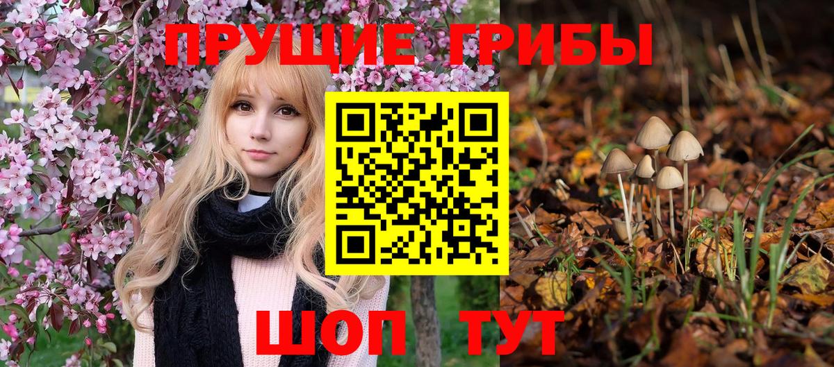 Псилоцибиновые грибы MAGIC MUSHROOMS Сибай